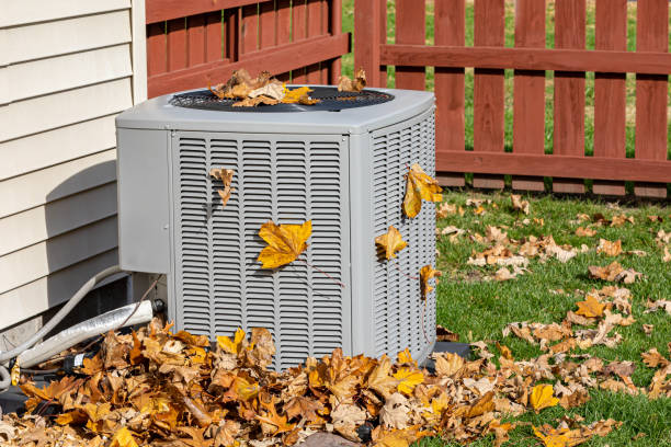 Best Heating Repair Services  in Las Palmas Ii, TX